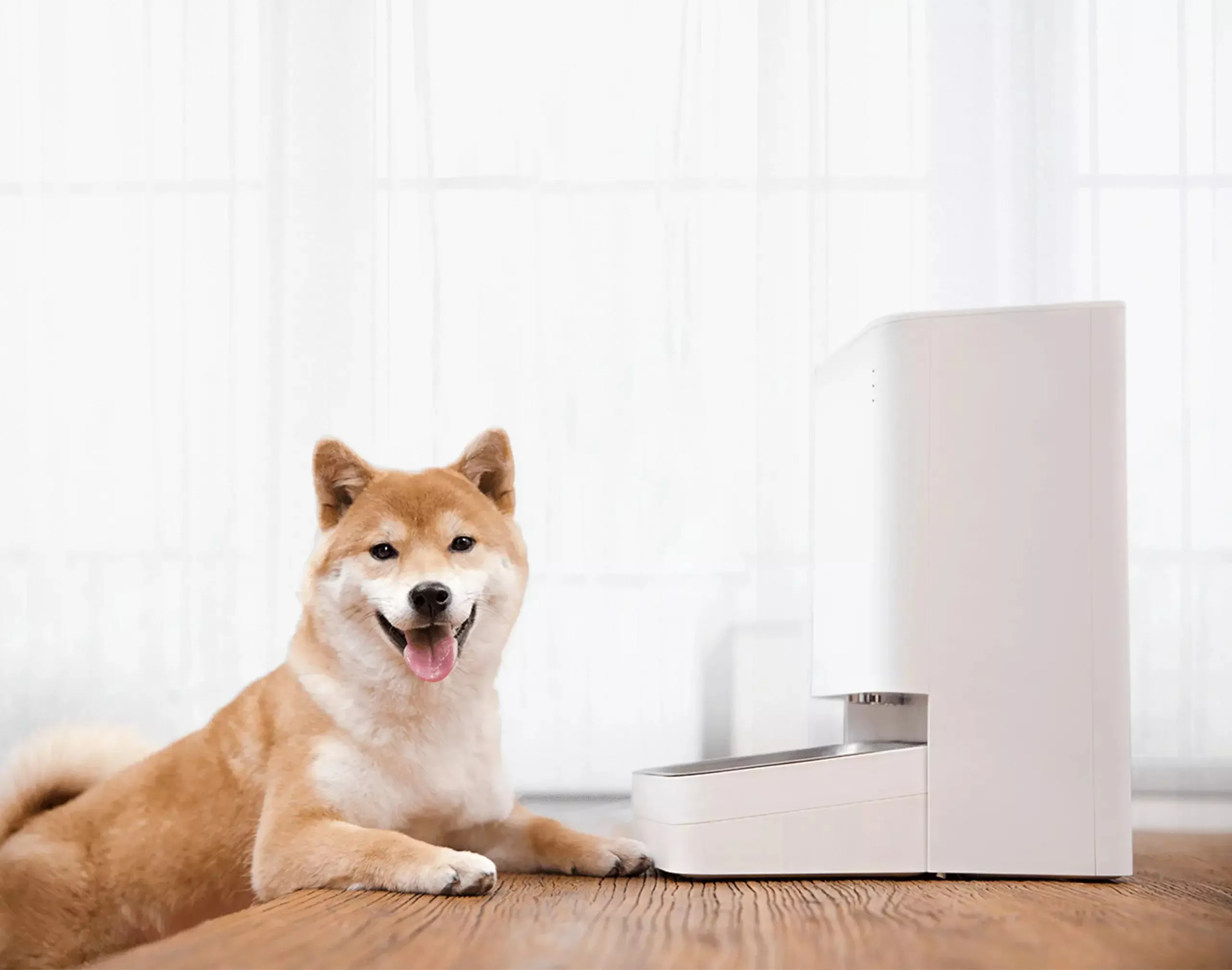 Xiaomi Smart Pet Food Feeder